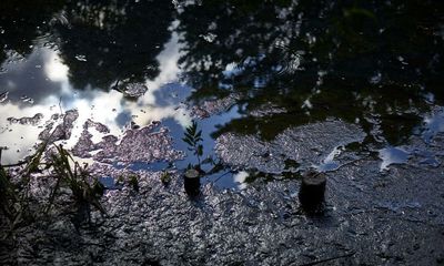 Sewage dumps into English rivers widespread, criminal inquiry suspects