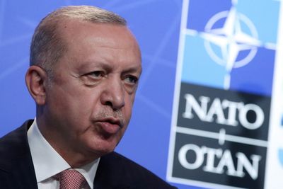 Erdogan says Turkey not positive on Finland, Sweden joining NATO