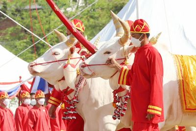 Royal Ploughing Ceremony foresees abundant water, food