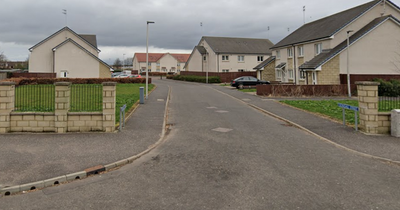 Cops drop investigation into alleged attack of Grangemouth schoolboy
