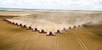 A shrinking fraction of the world's major crops goes to feed the hungry, with more used for nonfood purposes