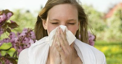 Hay fever warning in UK amid high pollen levels this weekend