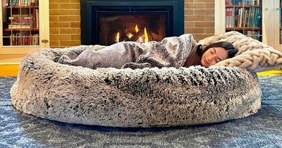 World's first human dog bed for jealous pet owners invented
