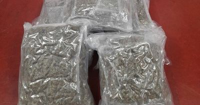 Revenue seize €112,000 worth of cannabis at Dublin Airport