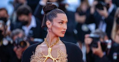 Supermodel Bella Hadid endorses Irish politician to 52 million followers again on Instagram