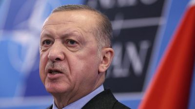 Erdoğan says Turkey does not support Finland and Sweden joining NATO