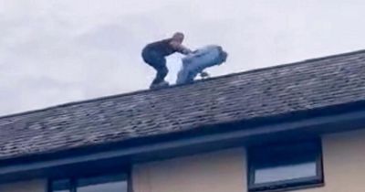 Man precariously balances on 40ft rooftop in brave effort to save parrot