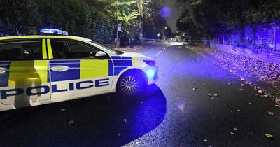 Police hunt sex attacker after serious assault on woman in south Manchester