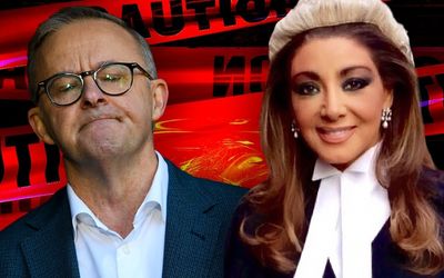 Real Housewives of Parliament House: Labor meme sparks fury from reality star Gina Liano