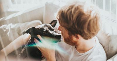 'I put my boyfriend's poorly dog down without permission - and I'd do it again'