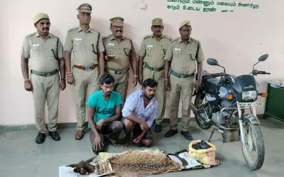 Three arrested for poaching in reserve forests near Vellore