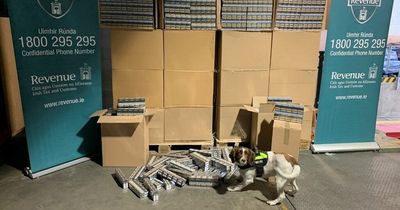 Millions of illegal cigarettes seized at Dublin Port with help of detector dog Waffle