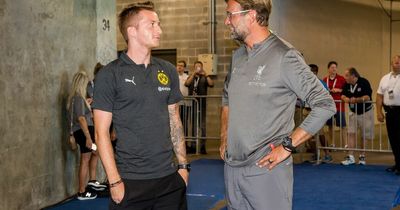 Marco Reus makes Liverpool wish after Jurgen Klopp claim