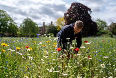 Britain set for summer temperatures over weekend before rain takes over