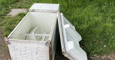 Man fined hundreds after CCTV caught him dumping fridge in busy park