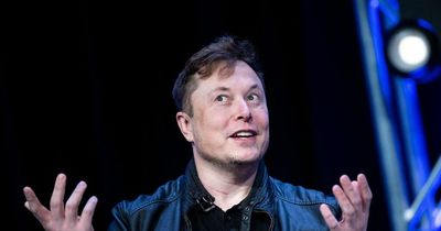 Elon Musk puts Twitter takeover on hold - but insists he's 'still committed' to bid