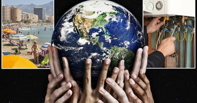 20 solutions to climate change you can try from your own home