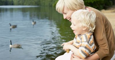 Council issues warning to people who feed ducks white bread - like Hovis or Kingsmill