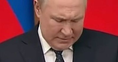 Putin's bloated look with 'head too big for body' as he hosts virtual security meeting