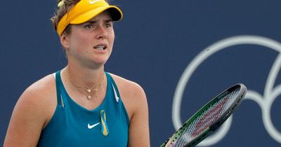 Russian tennis chief brands Elina Svitolina a ‘nobody’ as he hits back at Ukrainian star
