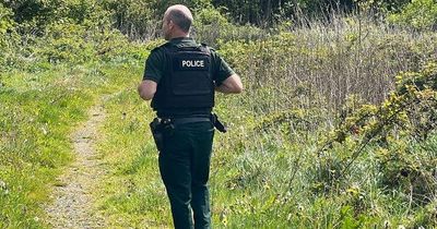 PSNI warning over "inappropriate" and "risk-taking behaviour" in Co Down woods