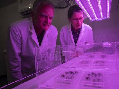 Scientists successfully grow plants in soil from the moon