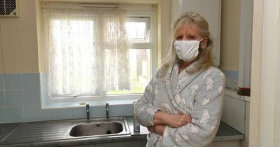 Gran claims she hasn't had hot meal for seven weeks due to fly infestation in flat