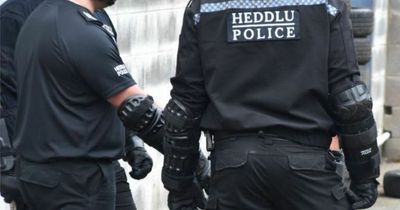 Multiple arrests made as police raid properties across Swansea, Neath and Port Talbot in drugs sting