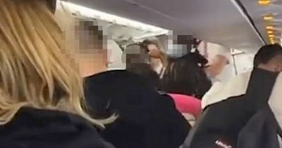 Wizz Air pilot 'punched by British passenger' after brawl breaks out on plane