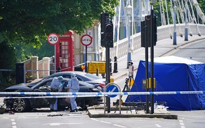 Pedestrian, 41, and three dogs die in car crash on Chelsea street