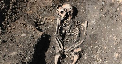 Archaeologists find dozens of skeletons buried by side of ancient road