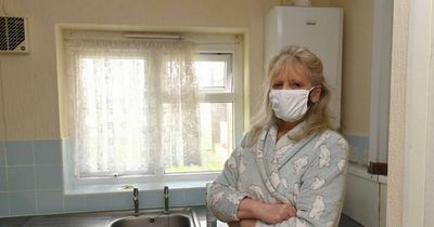Gran 'hasn't had hot meal for seven weeks due to fly infestation in flat'