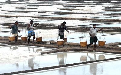 'Asani' leaves bitter taste for salt farmers of Prakasam in Andhra Pradesh