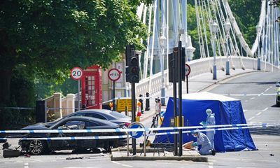 Woman, 41, and her three dogs die after being hit by car in west London