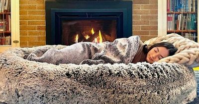 World's first human dog bed invented for jealous pet owners