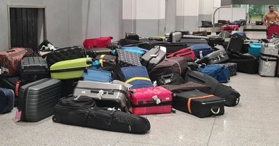 Spain holiday 'nightmare' as passengers land at Malaga Airport and find luggage scattered across floor