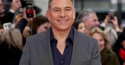 David Walliams' split from wife after 'unreasonable behaviour' and her new man
