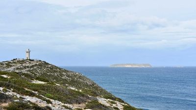 Man and young boy rescued from water off Cape Spencer