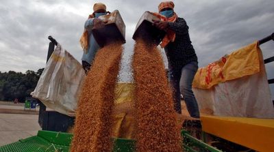 India Open to Exporting Wheat to Needy Nations despite Ban