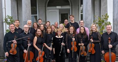 Orchestra of Irish doctors to put on special performance for Belfast homeless charity