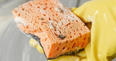 Mrs Hinch fans share 44p food item that removes permanent marker from walls