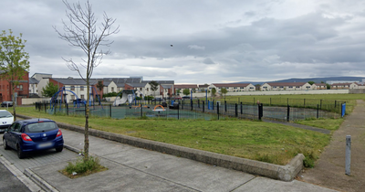 Gardai seal off playground in Tallaght after man found unconscious with serious head injuries