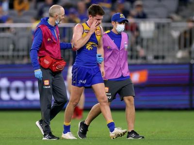 Eagles urge fans to stick by the AFL club