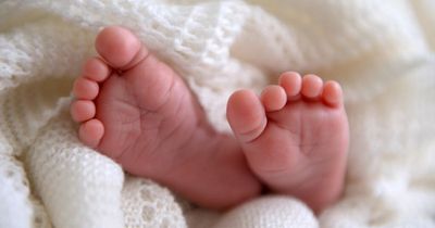 Cot death 'world first' breakthrough could help save babies most at risk of dying