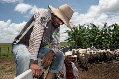 South America's traditional cowboys are still at home on the range in Colombia