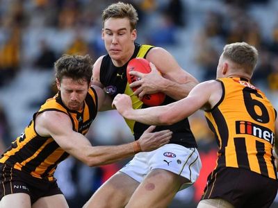 Tiger Tom Lynch escapes AFL ban