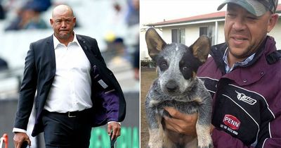 Andrew Symonds' dog refused to leave his side during desperate attempt to save his life