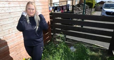 Mum stuck in housing hell as she tries to keep her kids safe from needles, damp and insects