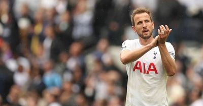 Tottenham supporters send message to Harry Kane after Burnley victory takes them above Arsenal