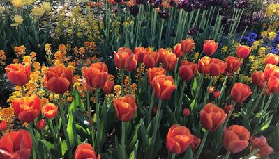 Why would an 18-year-old kill?